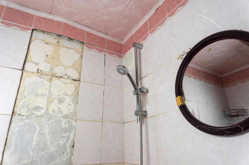 Bathroom Floor Replacement in Santa Rosa, CA