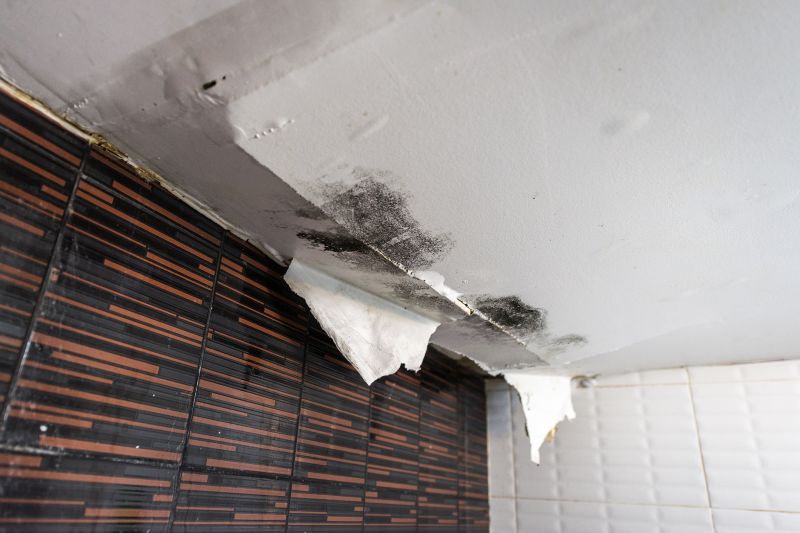 Water Damage Ceiling Repair in Denver County, CO